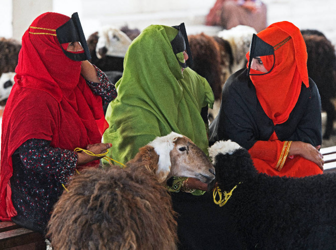 Nizwa cattle market, Oman - Christian Weiss_Schoene Aussichten Touristik